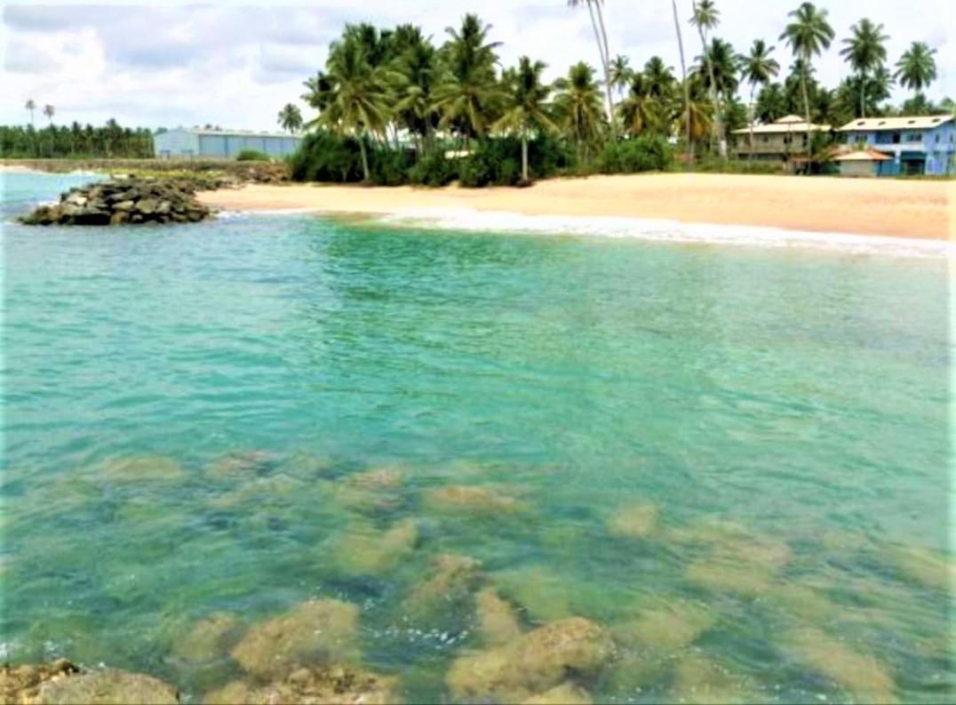 Sea Shell Villa Hikkaduwa 2 Separate Cabanas Ocean Front Villa Екстер'єр фото